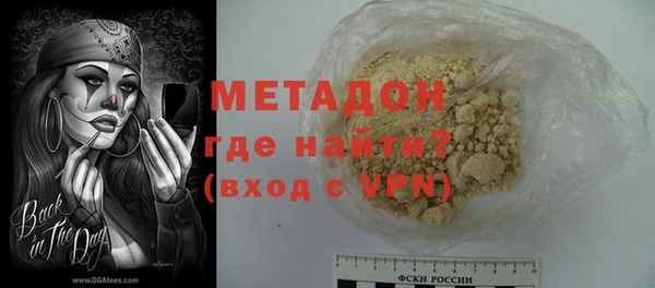 индика Алексин