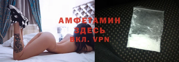 индика Алексин