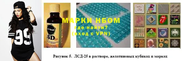 индика Алексин
