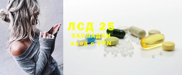 индика Алексин