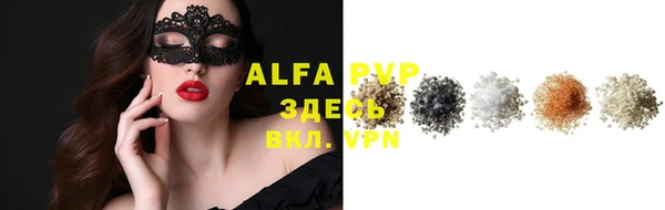 индика Алексин