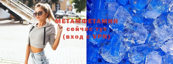 индика Алексин