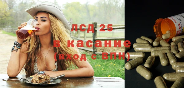 индика Алексин