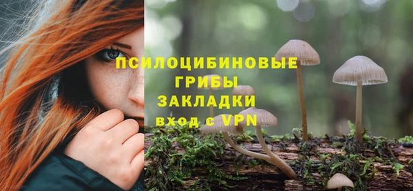 герыч Алзамай