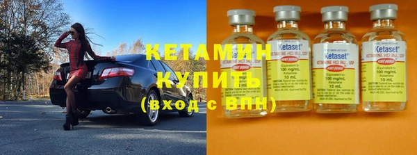 индика Алексин