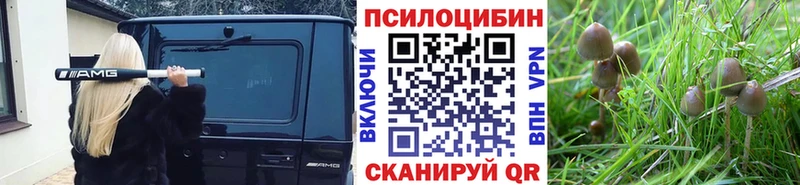 Галлюциногенные грибы ЛСД  Балашов 