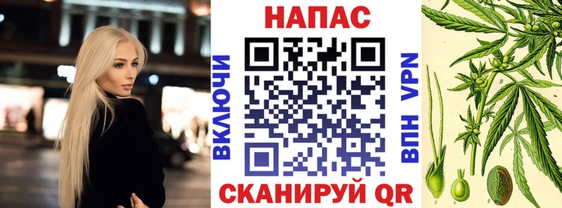 как найти закладки  маркетплейс какой сайт  Бошки марихуана план  Балашов  hydra  